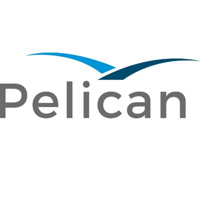 Pelican unveils “innovation hub” fintech partnership model for banks ...