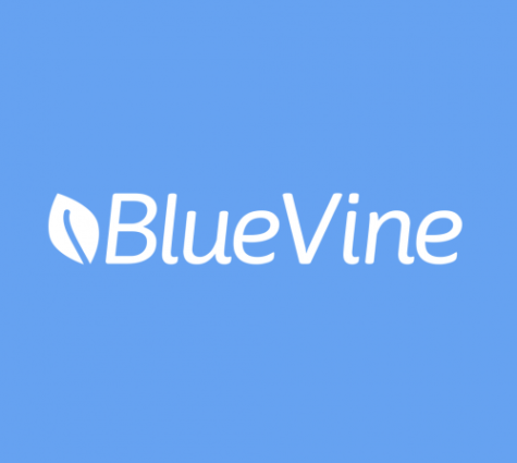 Blue Vine Factoring: Everything You Need to Know